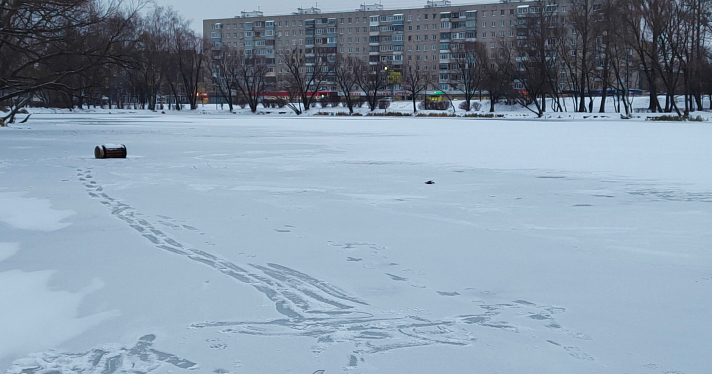 Проверили прочность льда: неизвестные бросили урну в пруд в парке Нефтяников _226327