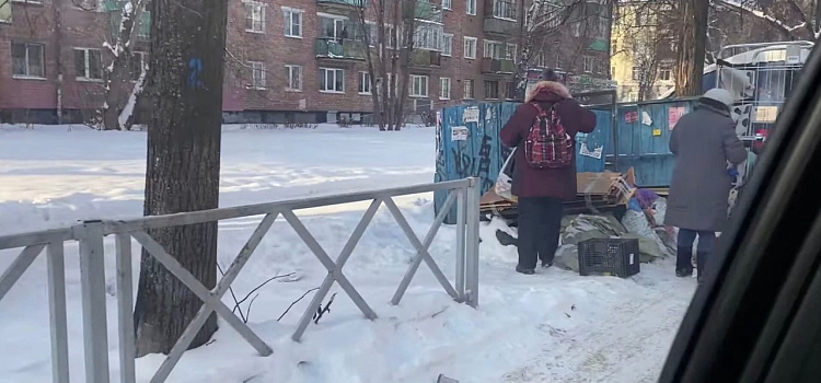Фото дня. Ярославцы разбирают просрочку на помойке _172616