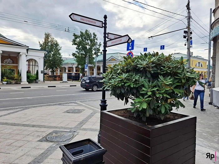 В Ярославле на улице Депутатской «очистили небо»
