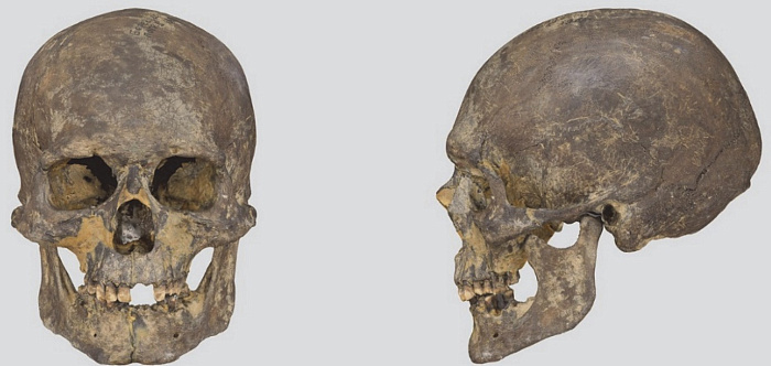 Человек с Берендеева болота: учёные рассказали, как выглядели и чем питались предки ярославцев тысячи лет назад