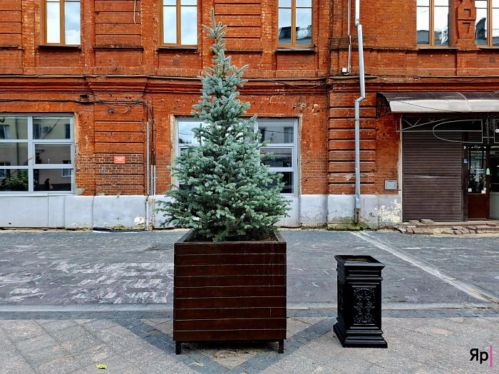 В Ярославле на улице Депутатской «очистили небо»