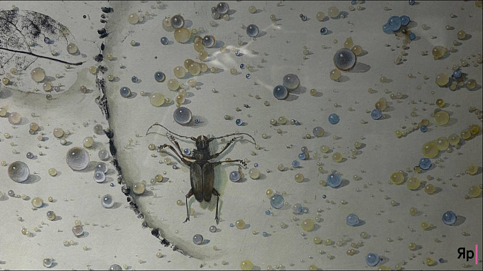 Оранжерея иллюзий: в Ярославле проходит выставка «Иллюзия/реальность»