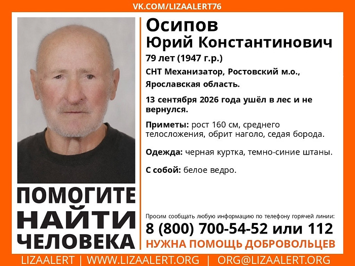 «Дай бог его подобрали»: в Ярославской области больше недели пытаются найти заблудившегося грибника