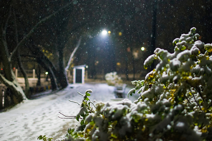 Сугробы и снеговики: топ фотографий первого снегопада в Ярославле