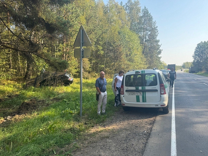 В Ярославской области спасли пенсионеров из застрявшего между деревьев автомобиля