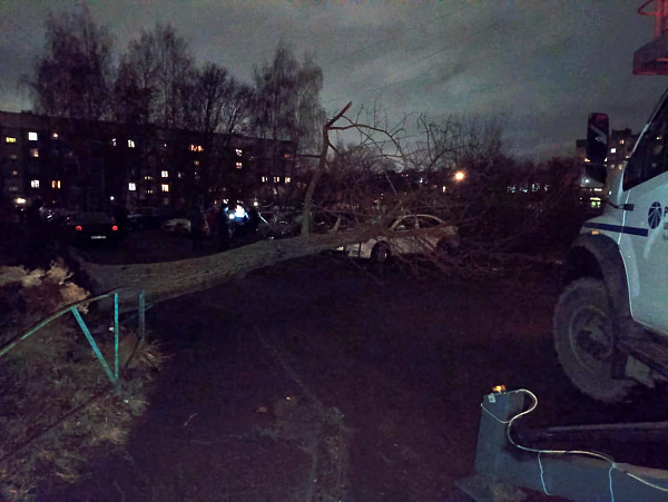 Поваленные деревья и светофоры: в Ярославской области устраняют последствия урагана