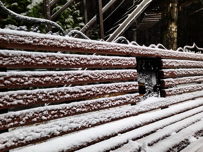Сугробы и снеговики: топ фотографий первого снегопада в Ярославле