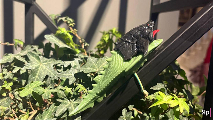 Оранжерея иллюзий: в Ярославле проходит выставка «Иллюзия/реальность»