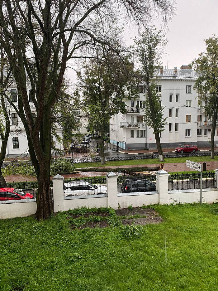 На Ярославль обрушилась буря: фото последствий