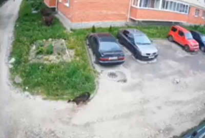 Без имени2.jpg