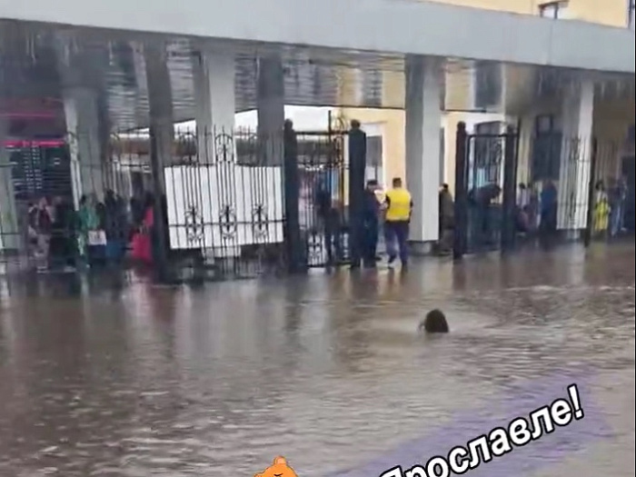 Ярославль ушёл под воду: городской потоп в фотографиях и мемах