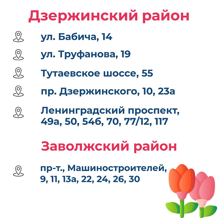 В Ярославле открылись 47 цветочных базаров