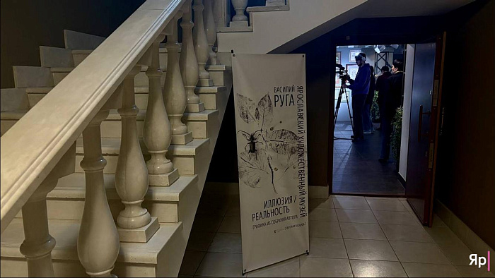 Оранжерея иллюзий: в Ярославле проходит выставка «Иллюзия/реальность»