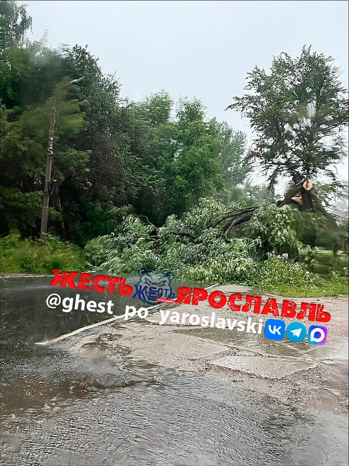 Ярославль ушёл под воду: городской потоп в фотографиях и мемах