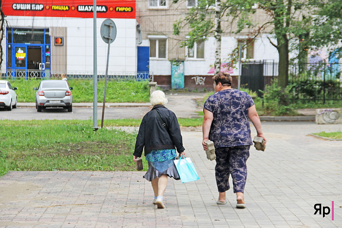 Ярославский парк Победы рискует стать второй Павловской рощей? Оцениваем ход благоустройства