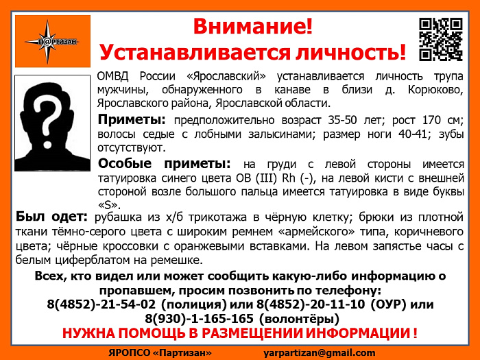 Устанавливается личность: в канаве у деревни под Ярославлем нашли труп мужчины