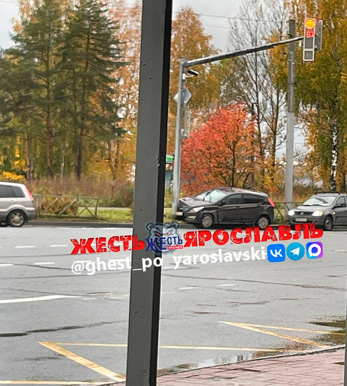 В Ярославле водитель автобуса, спасая животное, вылетел с дороги