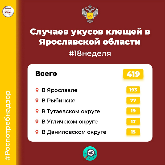 В Ярославской области растёт число пострадавших от укусов клещей