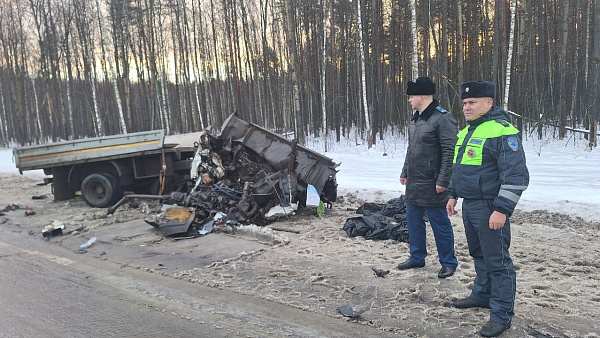 Скончались трое: возможный виновник ДТП в Ярославской районе был пьян