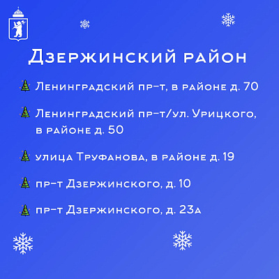В Ярославле открылись ёлочные базары