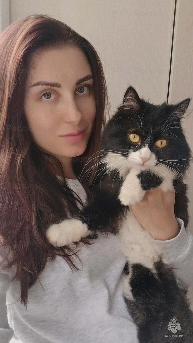 В Ярославле спасли кота Ваську, который прятался под землей восемь дней