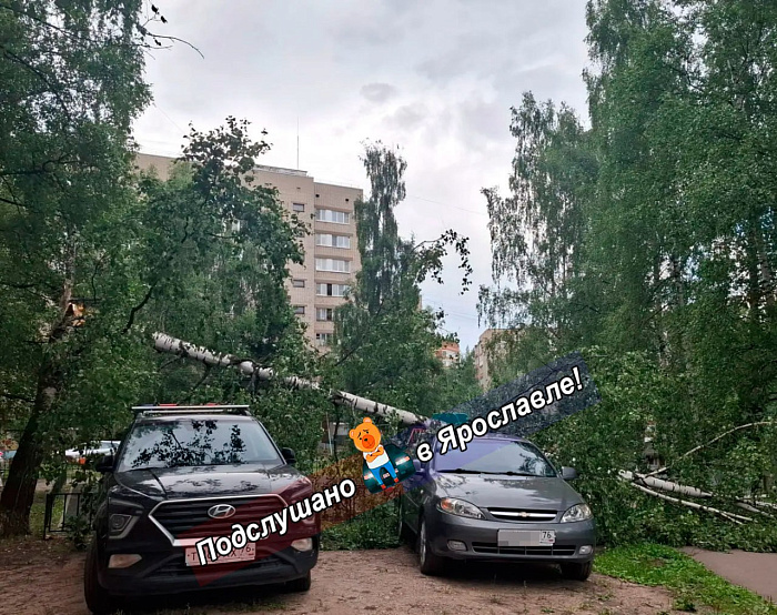 Крыши и деревья летели прямо на дорогу: в Ярославской области устраняют последствия грозы