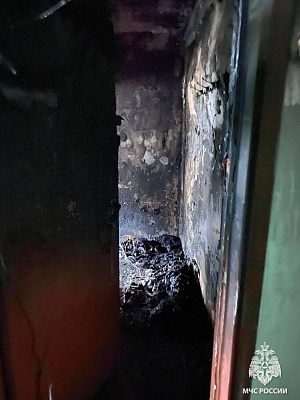 «От его выходок страдал весь подъезд»: назвали причину смертельного пожара в Рыбинске