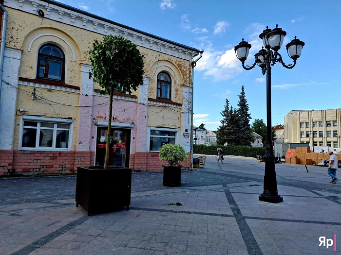 Улицу Депутатскую в Ярославле заполняют мобильным озеленением