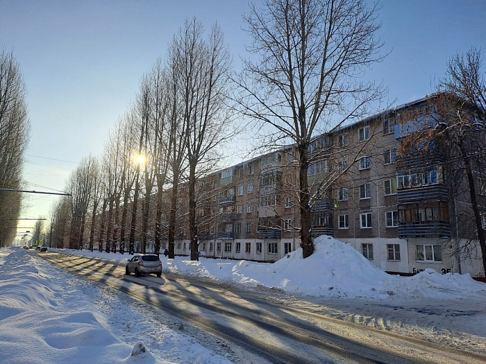 Стало известно, зачем в Ярославле на улице Блюхера вырубили деревья