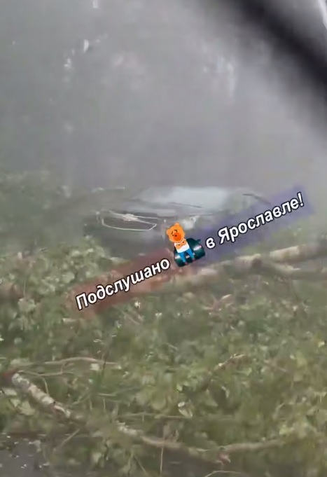 Крыши и деревья летели прямо на дорогу: в Ярославской области устраняют последствия грозы