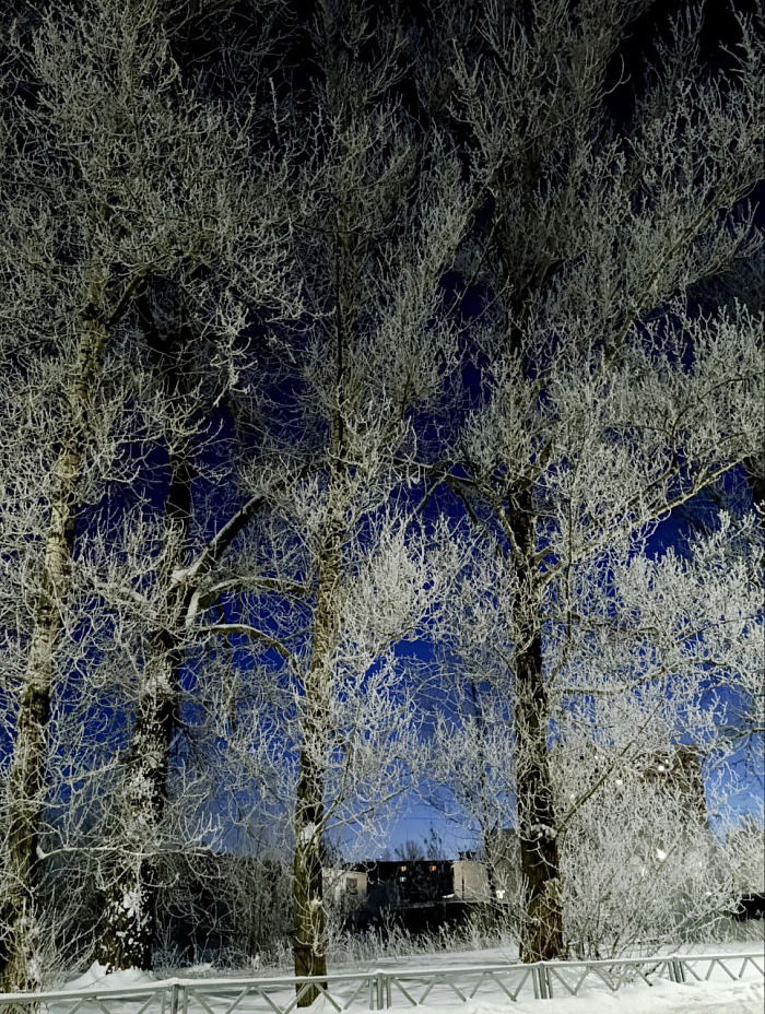 Это Ярославль? Да! Топ-10 кадров, от которых перехватывает дыхание