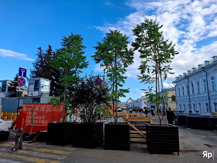 Улицу Депутатскую в Ярославле заполняют мобильным озеленением