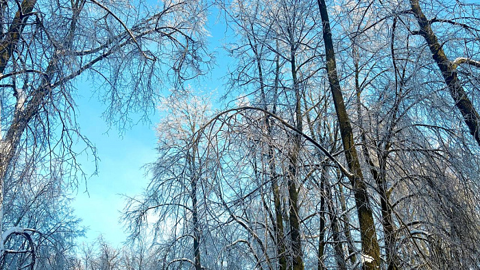 Это Ярославль? Да! Топ-10 кадров, от которых перехватывает дыхание