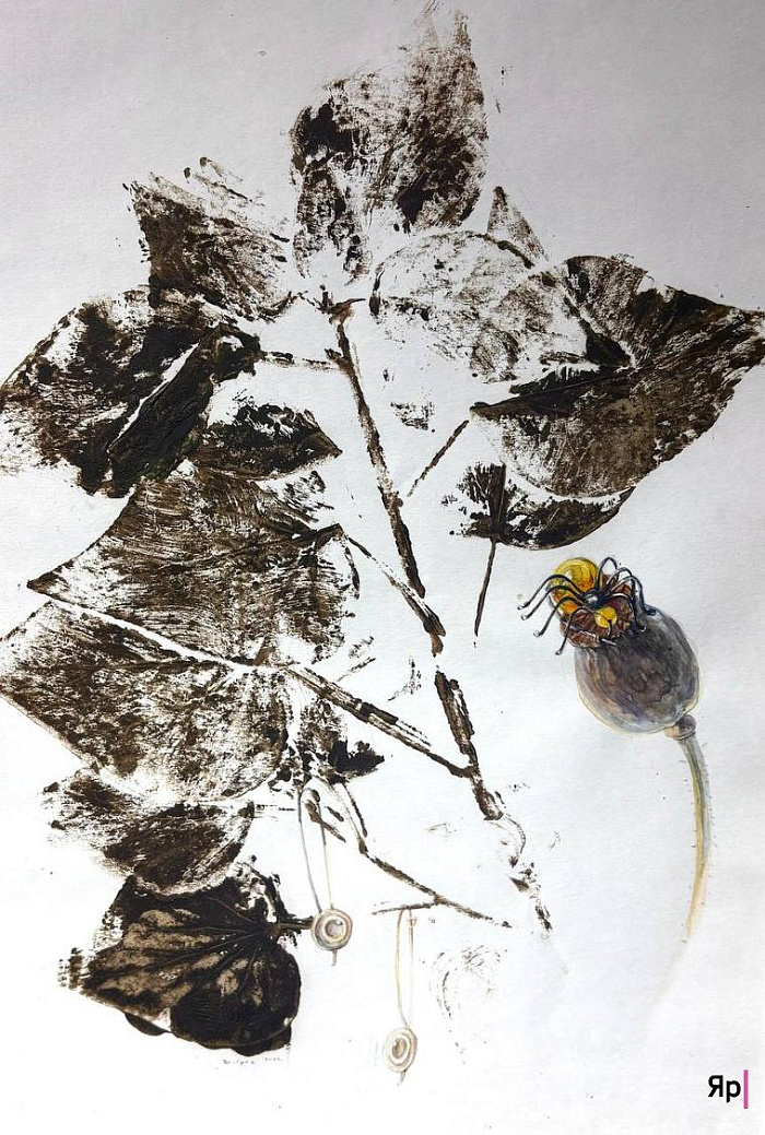 Оранжерея иллюзий: в Ярославле проходит выставка «Иллюзия/реальность»