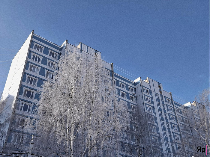 А это законно? Такая красота в Ярославской области — и без охраны!