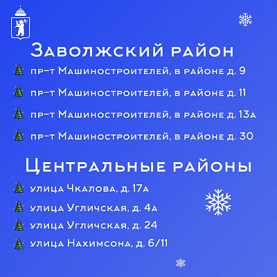 В Ярославле открылись ёлочные базары