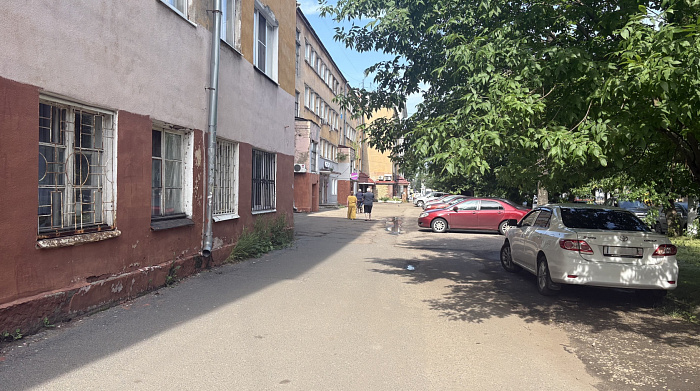 «Он перебил всех кошек в доме»: в Ярославле живодёр держит в страхе весь дом
