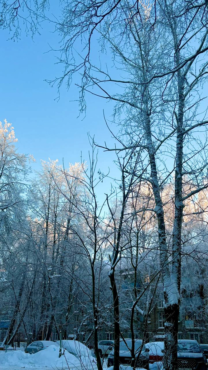 Это Ярославль? Да! Топ-10 кадров, от которых перехватывает дыхание