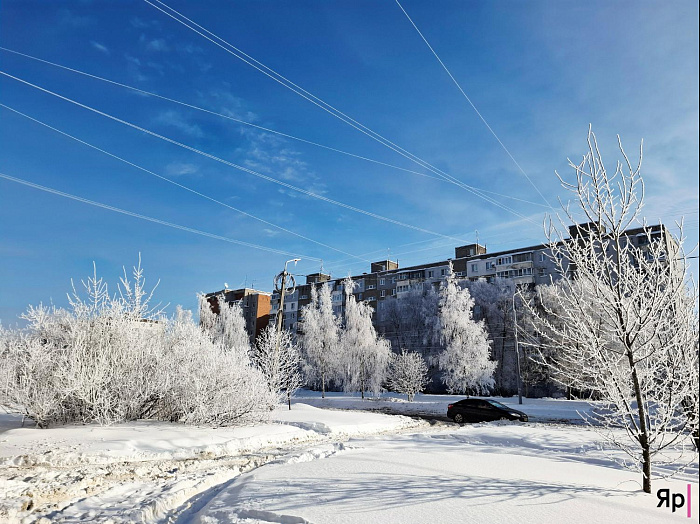А это законно? Такая красота в Ярославской области — и без охраны!