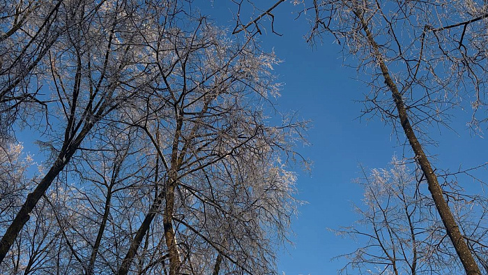 Это Ярославль? Да! Топ-10 кадров, от которых перехватывает дыхание