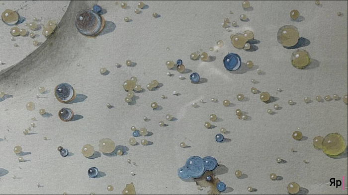 Оранжерея иллюзий: в Ярославле проходит выставка «Иллюзия/реальность»