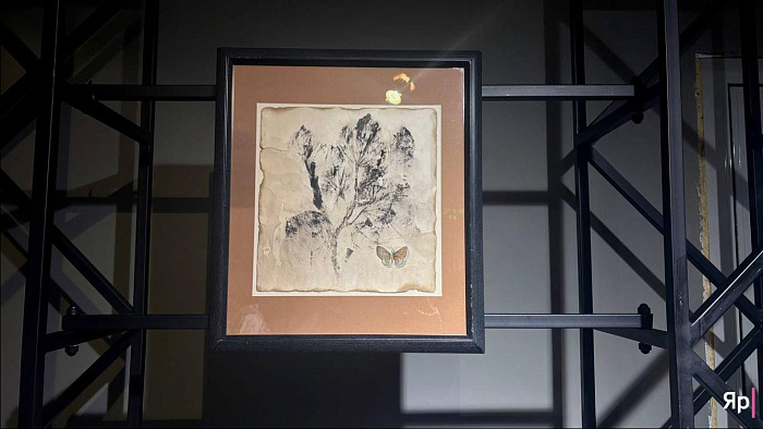 Оранжерея иллюзий: в Ярославле проходит выставка «Иллюзия/реальность»